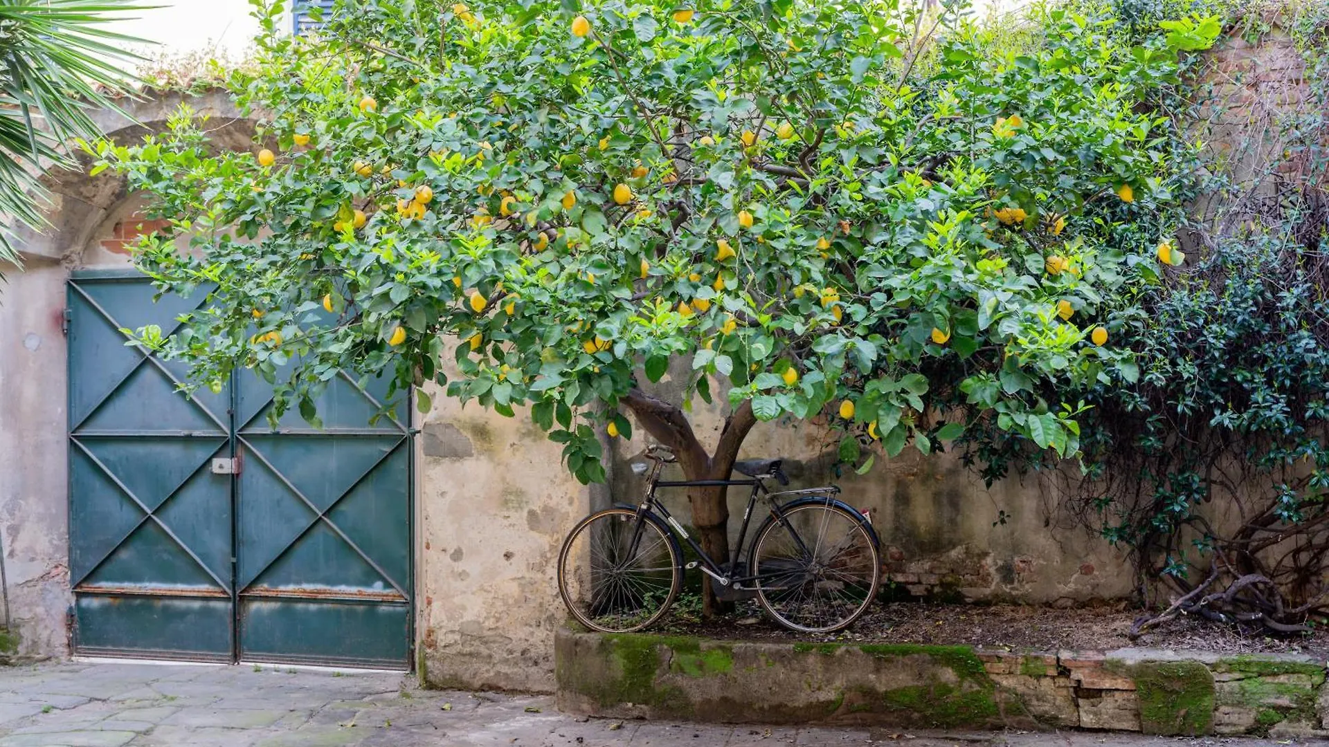 Bed & Breakfast B&B Via Corsica 10 Pisa Italy